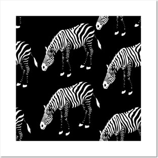 zebra Posters and Art